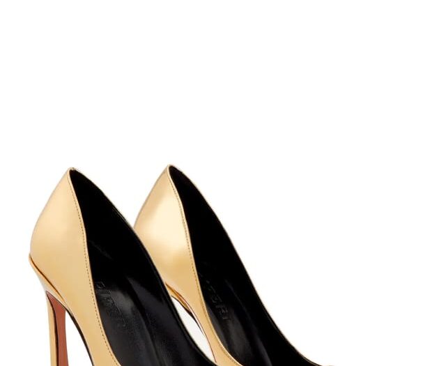 Avangarda Pointed Toe Pump